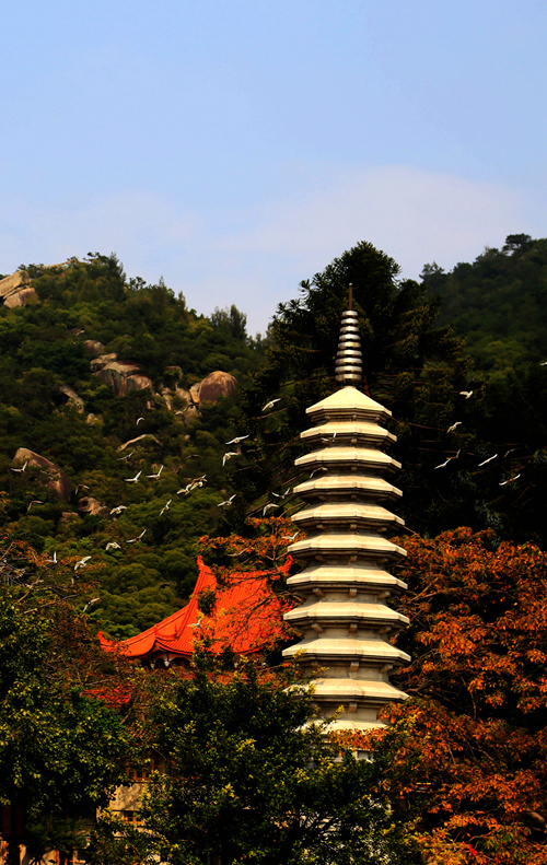 img_3074_副本_副本.jpg