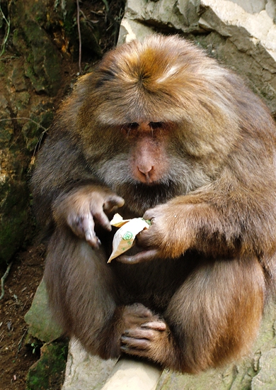 dscf8504.jpg