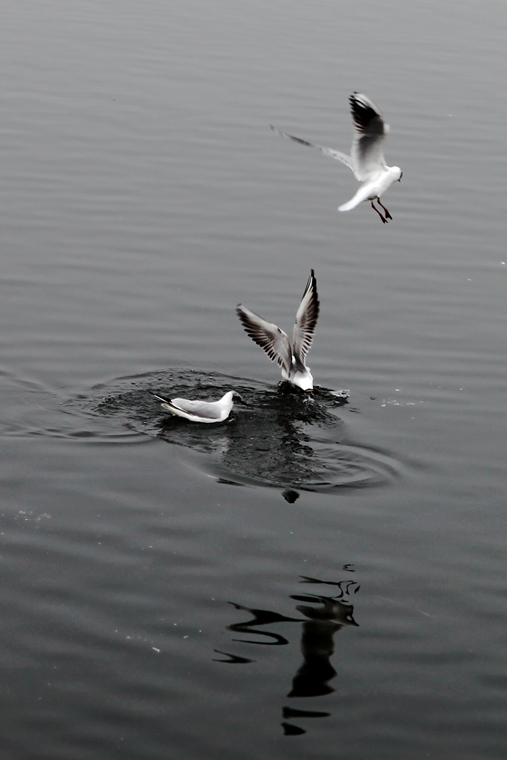 img_6622_.jpg