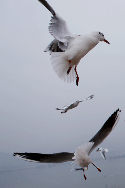 img_6687_.jpg