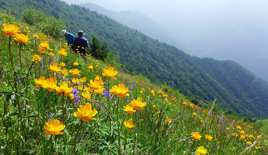 l1070190_.jpg