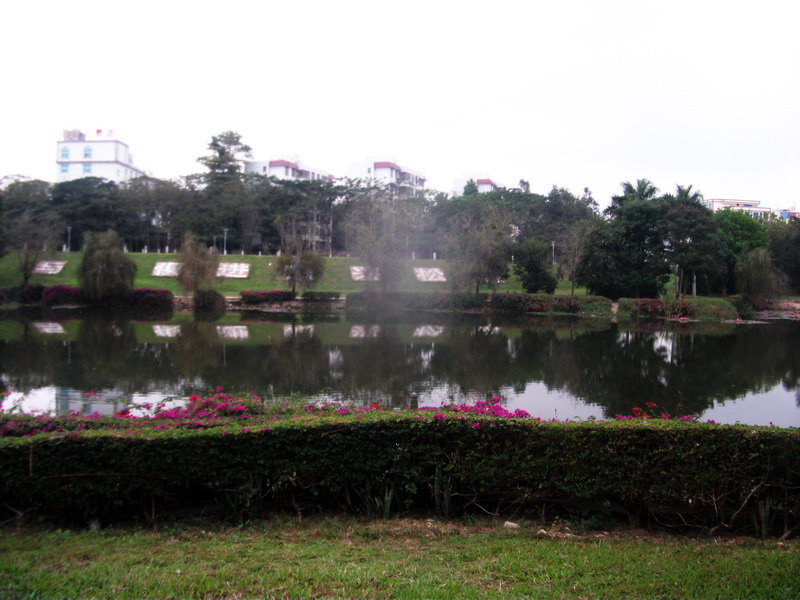 dscf0360.jpg