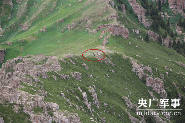 dvubb 按此在新窗口浏览图片