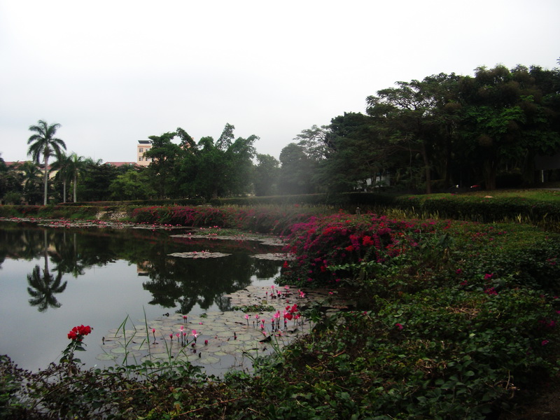 dscf0362.jpg
