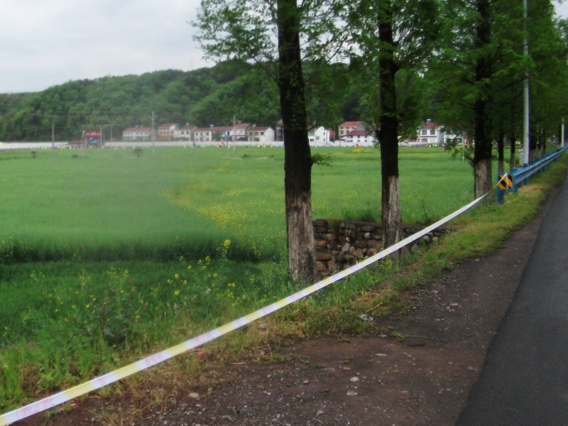 dscf1118.jpg