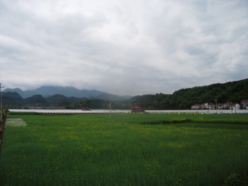 dscf1120.jpg