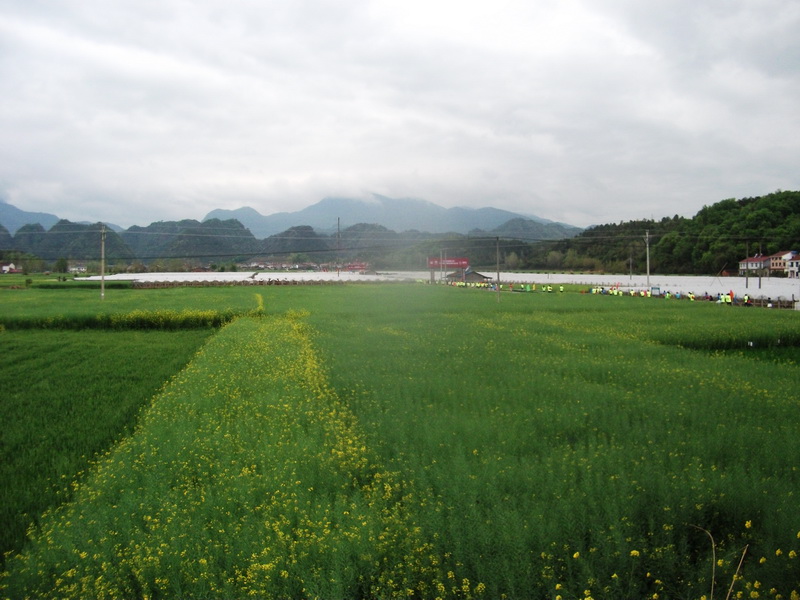 dscf1121.jpg