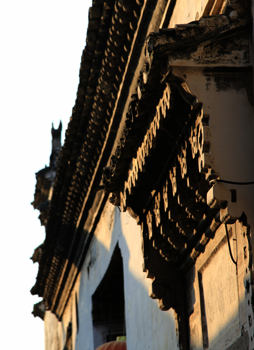 img_2491_副本.jpg