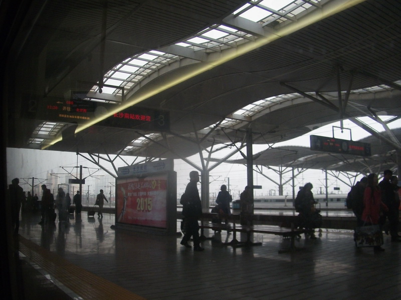 dscf0378.jpg