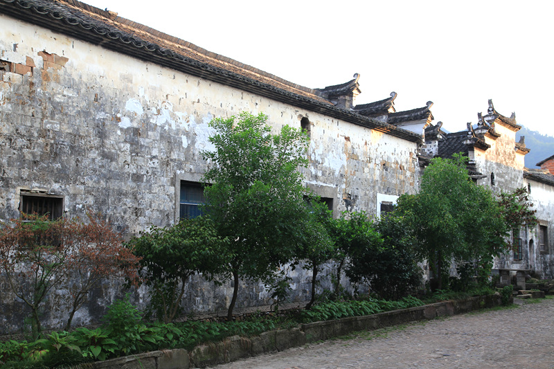 img_2524_副本.jpg