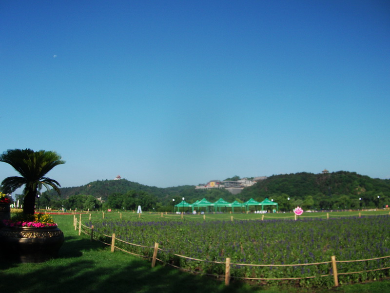 dscf0069.jpg