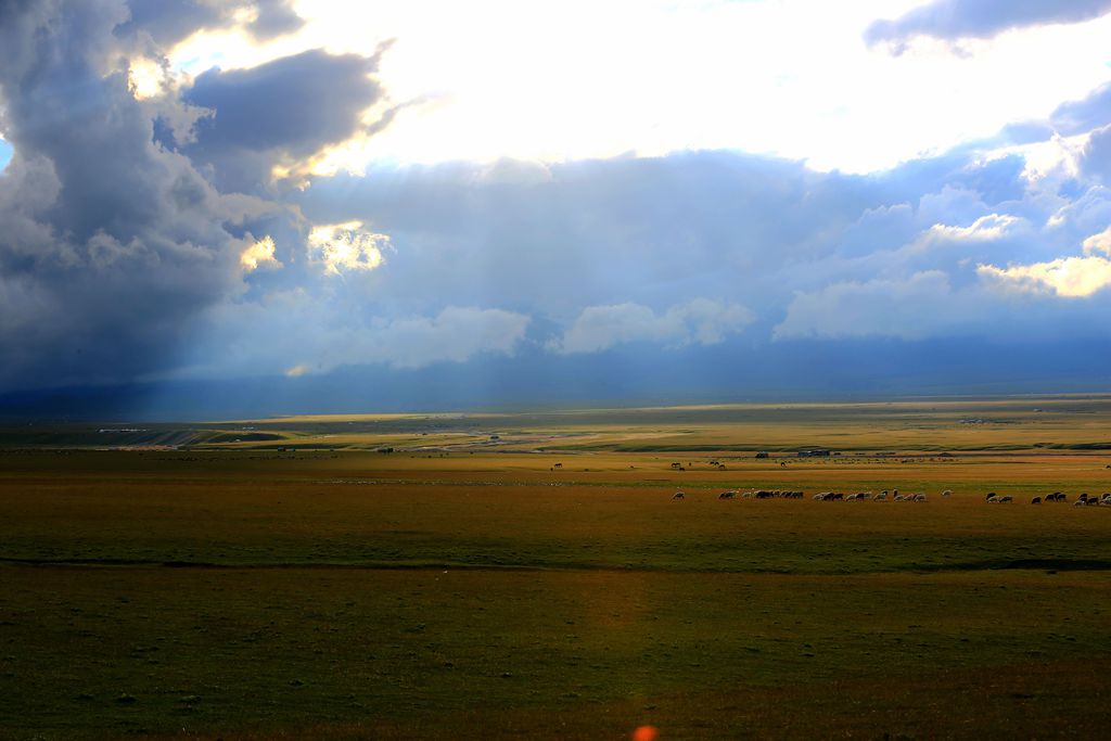 083a1091.jpg