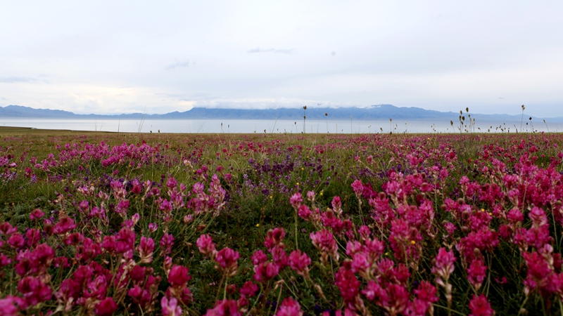 img_0706_副本8.jpg