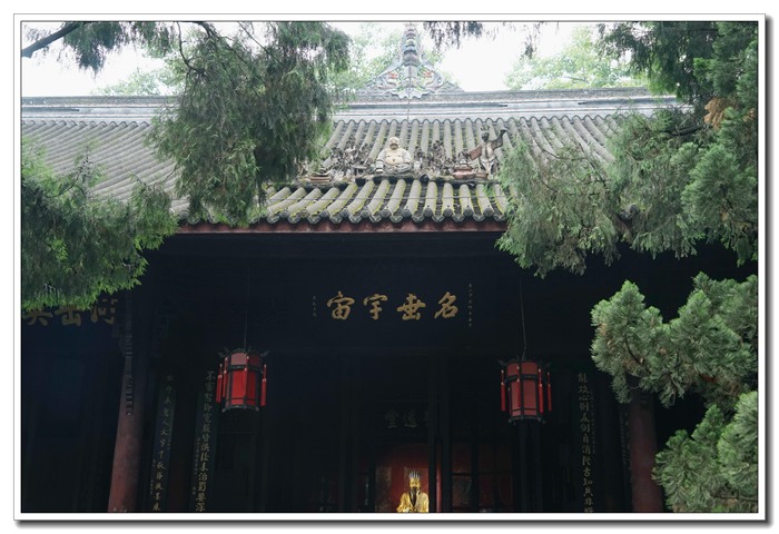 dsc09247.jpg