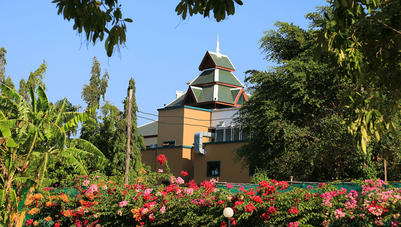 img_7602_.jpg