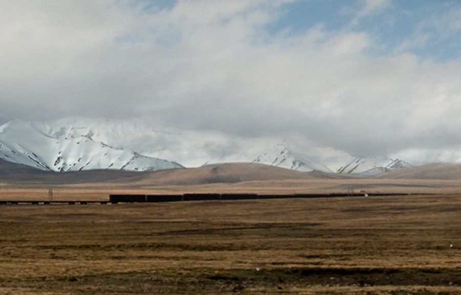 _dsc5021.jpg