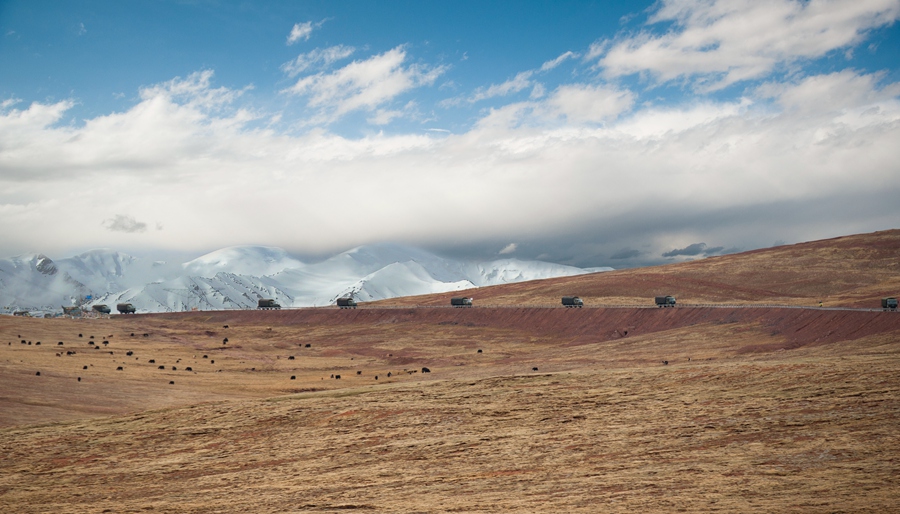 _dsc5137.jpg