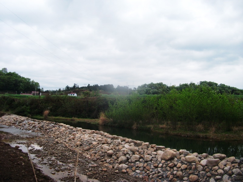 dscf1139.jpg