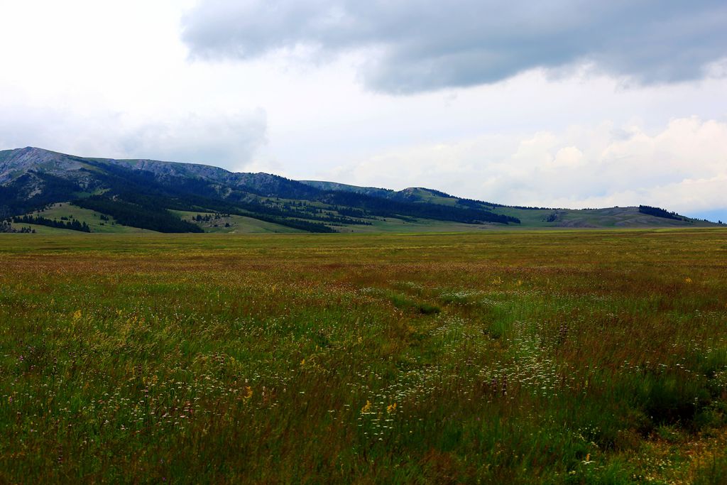 083a2037.jpg