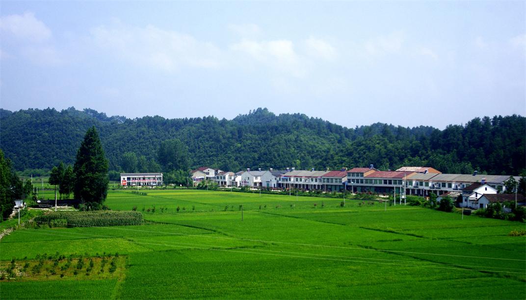 _igp5209.jpg
