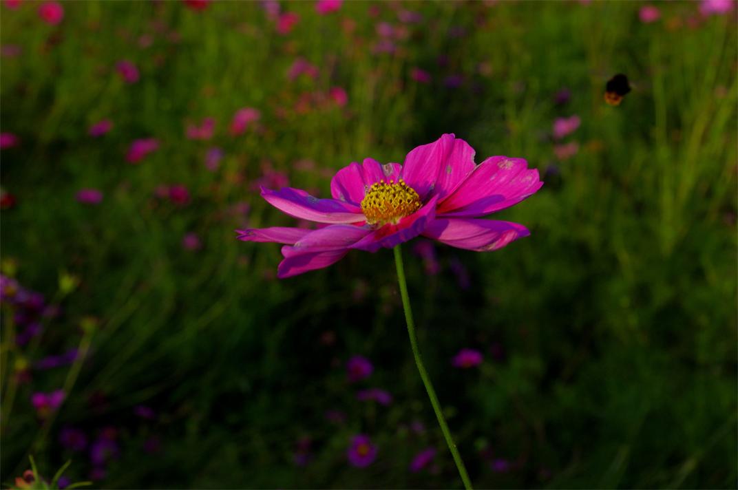 _igp5327.jpg