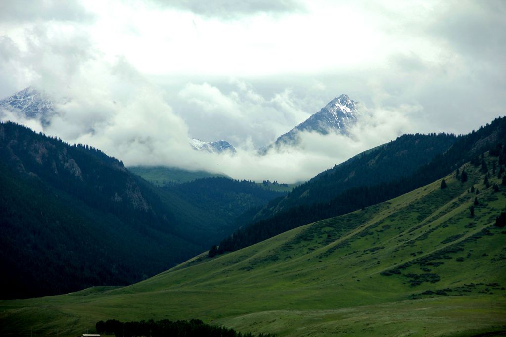 img_1121.jpg