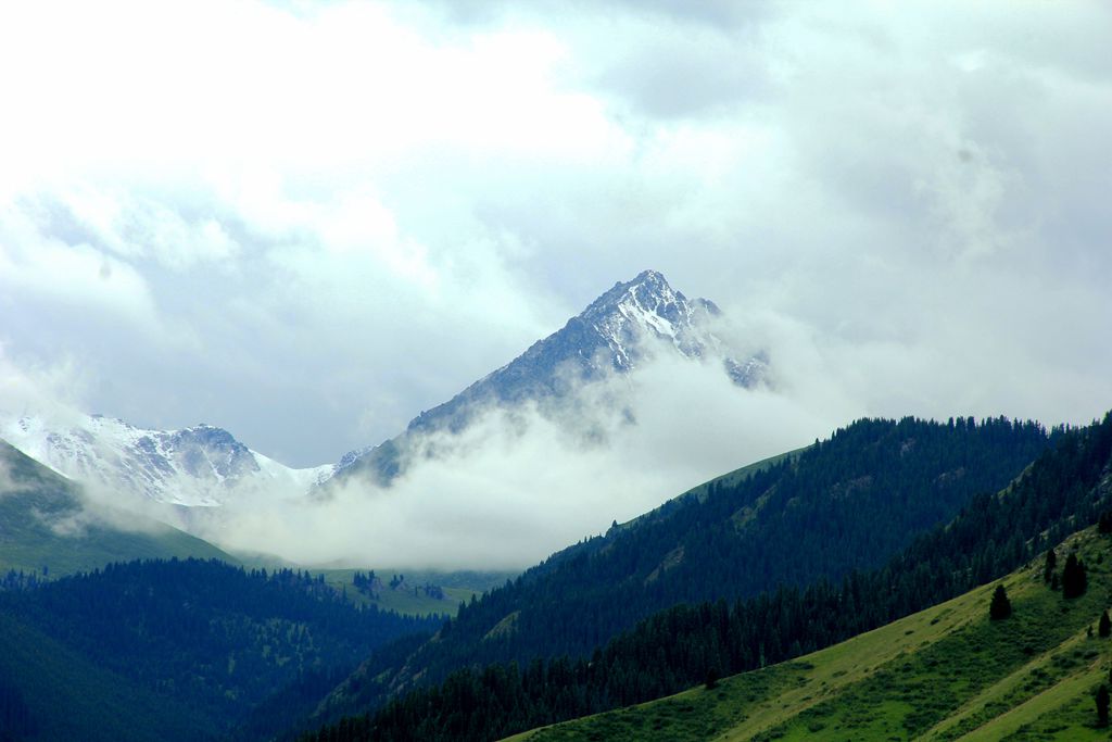 img_1125.jpg