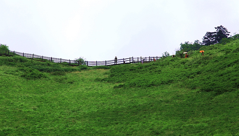 _mg_8948.jpg