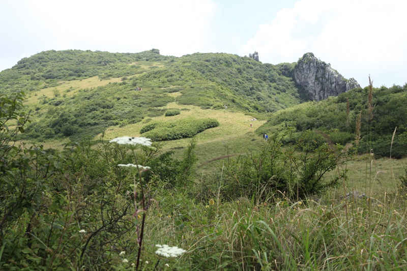 _mg_8971.jpg