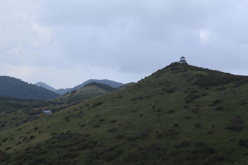 _mg_8988.jpg