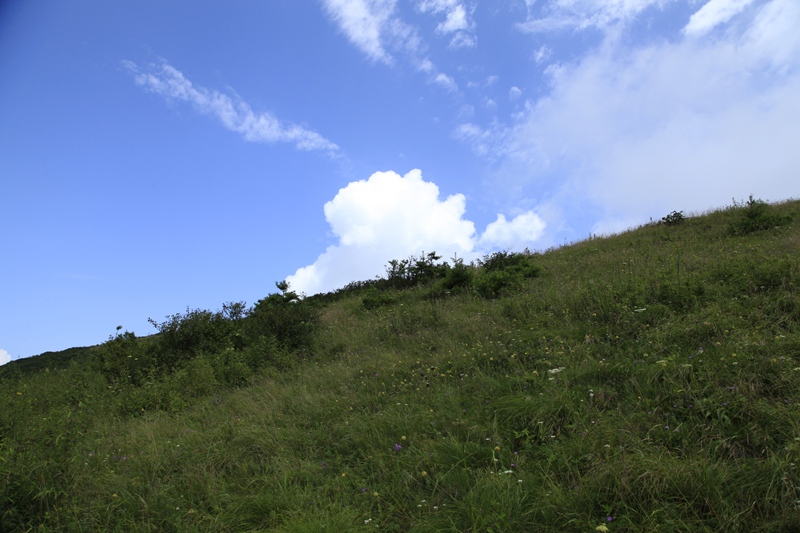 _mg_8992.jpg