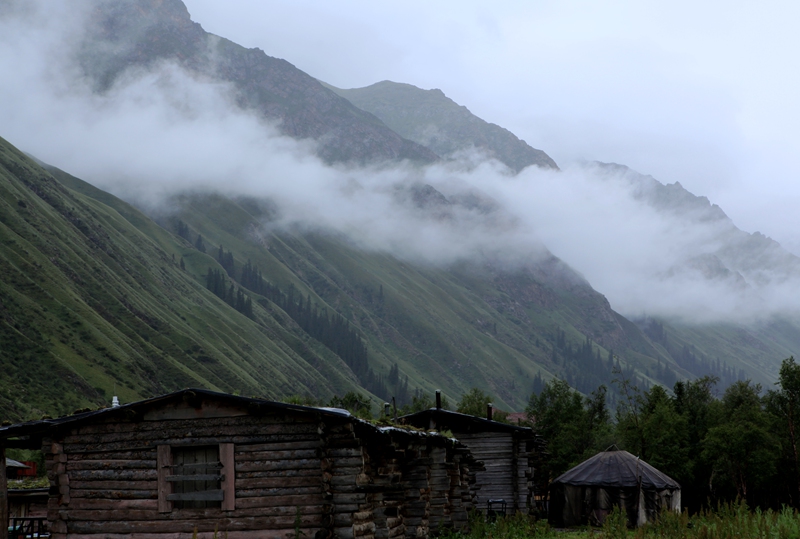 img_1110__8.jpg