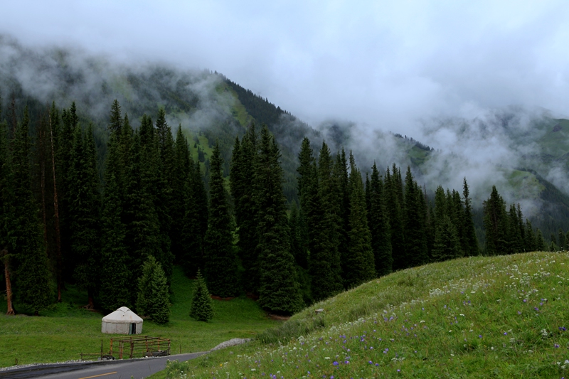 img_1086__7.jpg