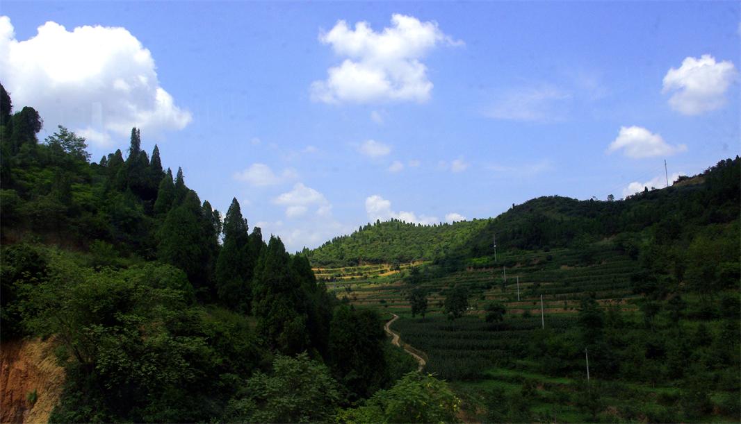 _igp5781.jpg