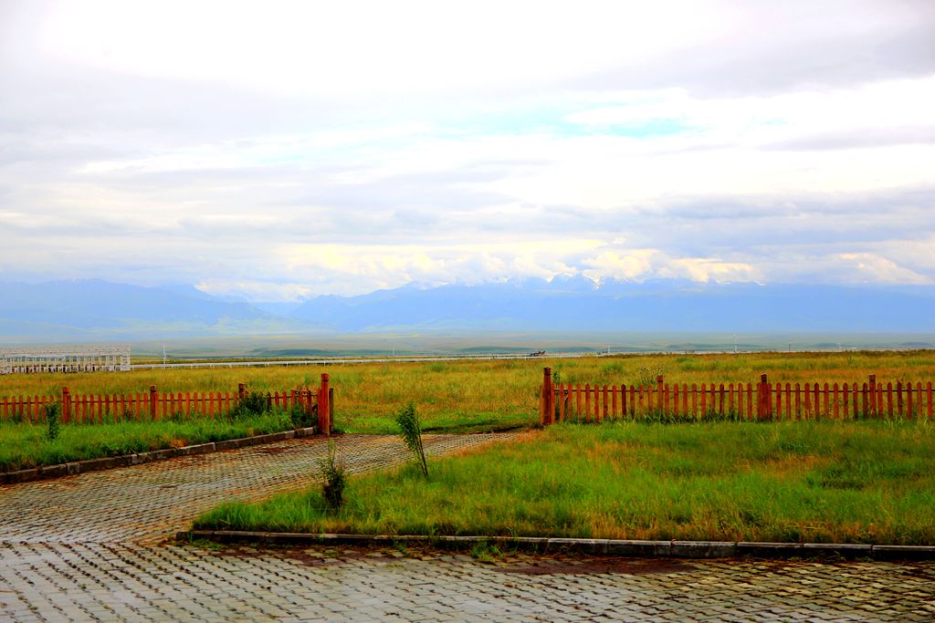 083a3231.jpg