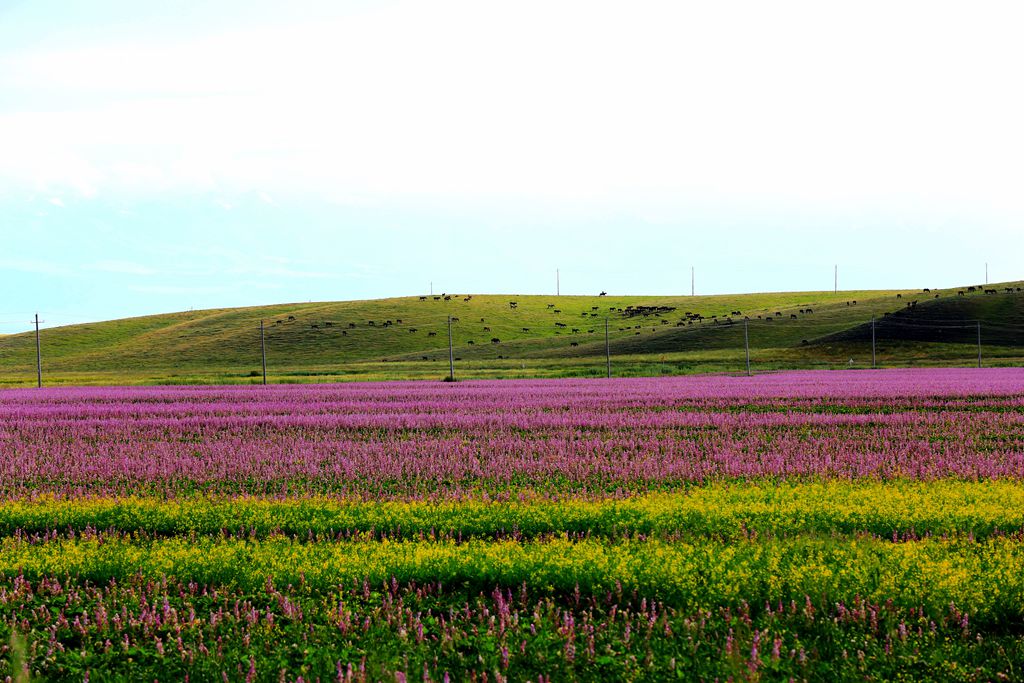 083a3527.jpg