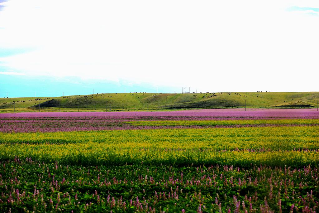 083a3559.jpg