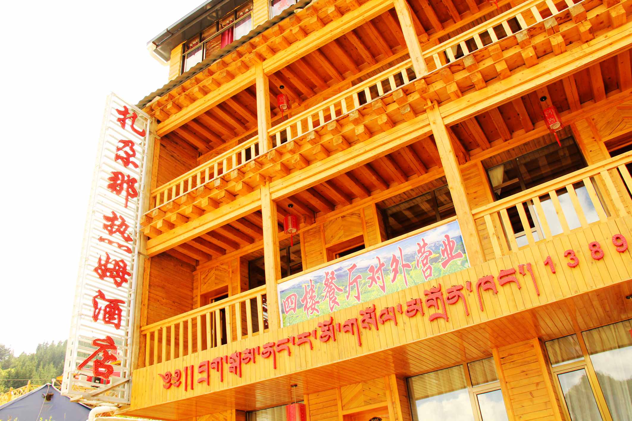 陇南行 234.jpg