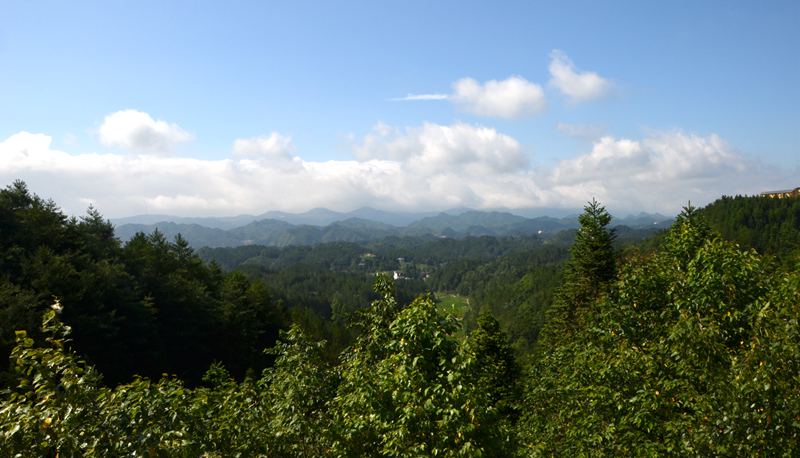 dsc_0317_副本.jpg