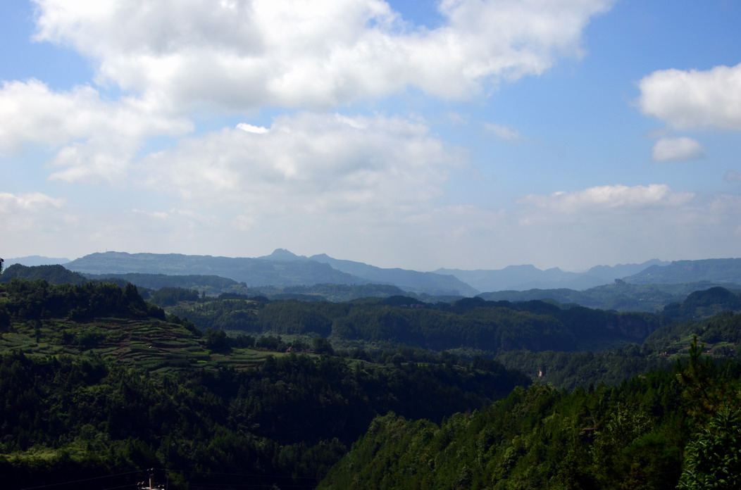 dsc_0303a.jpg