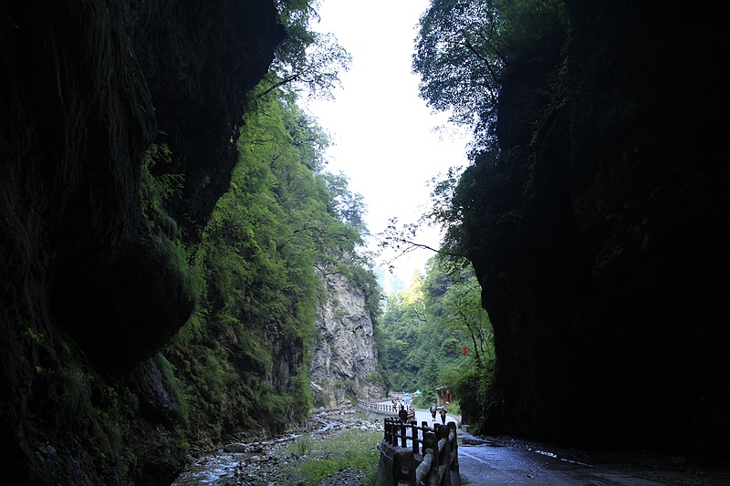 _mg_9475.jpg