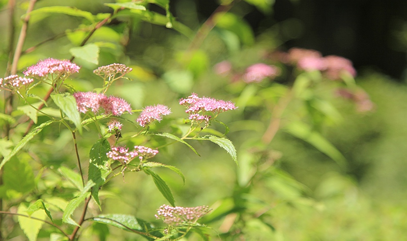 _mg_9559.jpg
