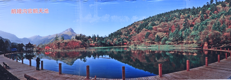 _mg_9594.jpg