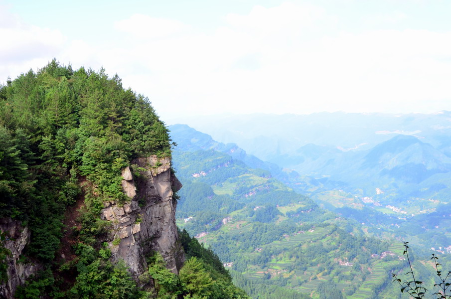 dsc_0342a.jpg