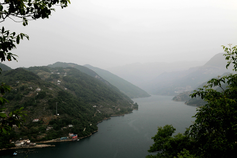 img_0783__.jpg