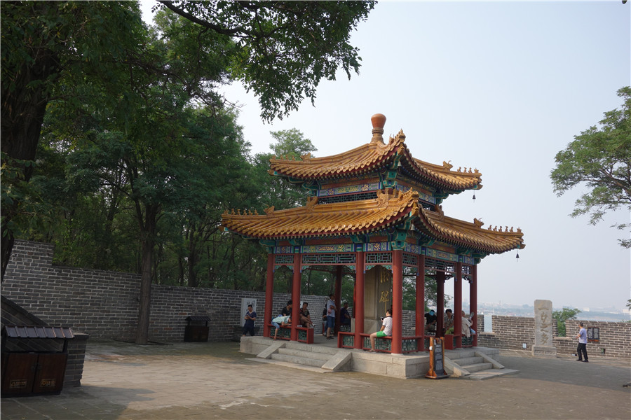 dsc01102.jpg