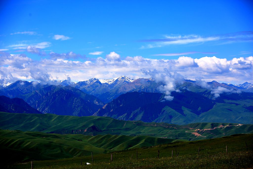 083a3835.jpg