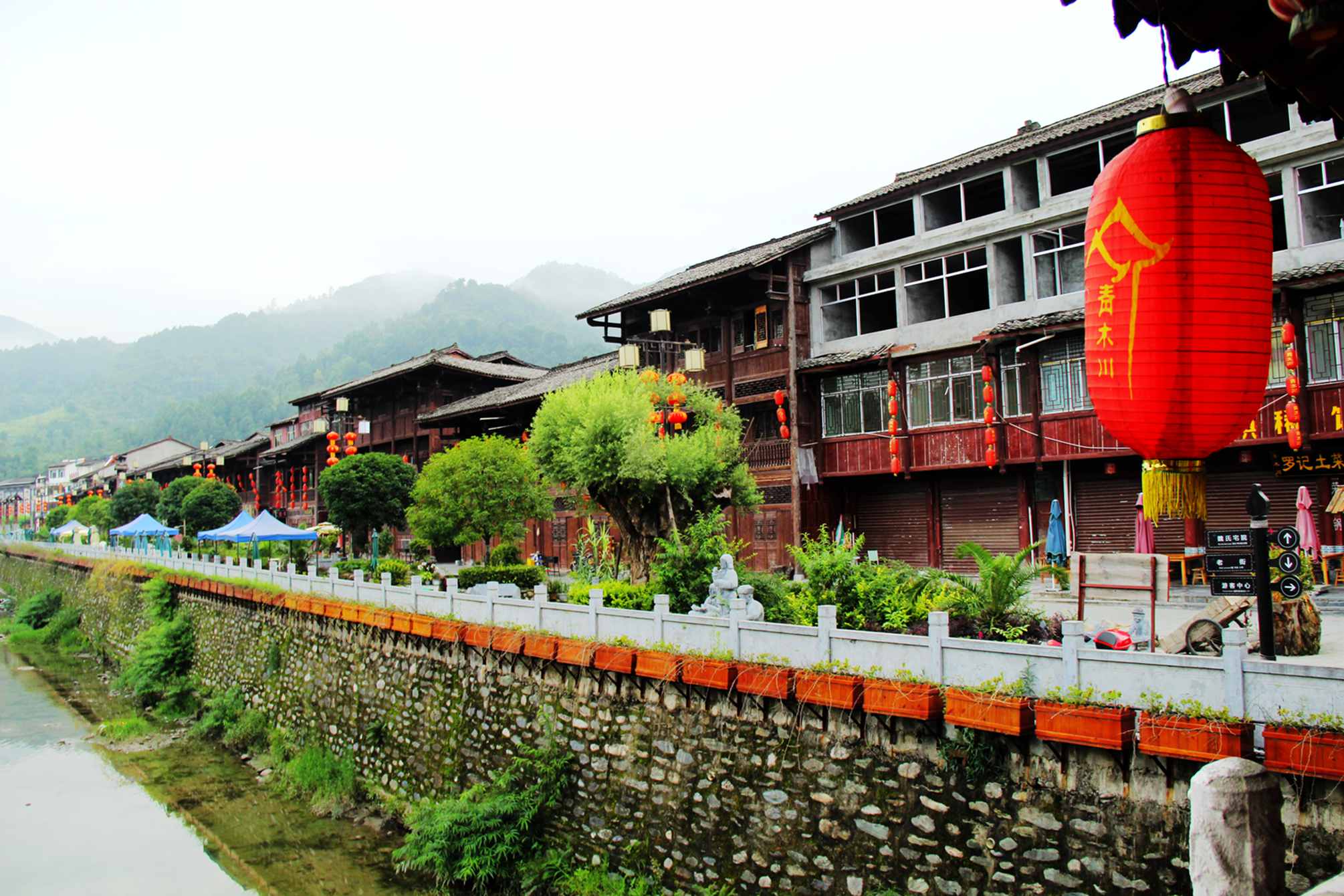 陇南行 539.jpg