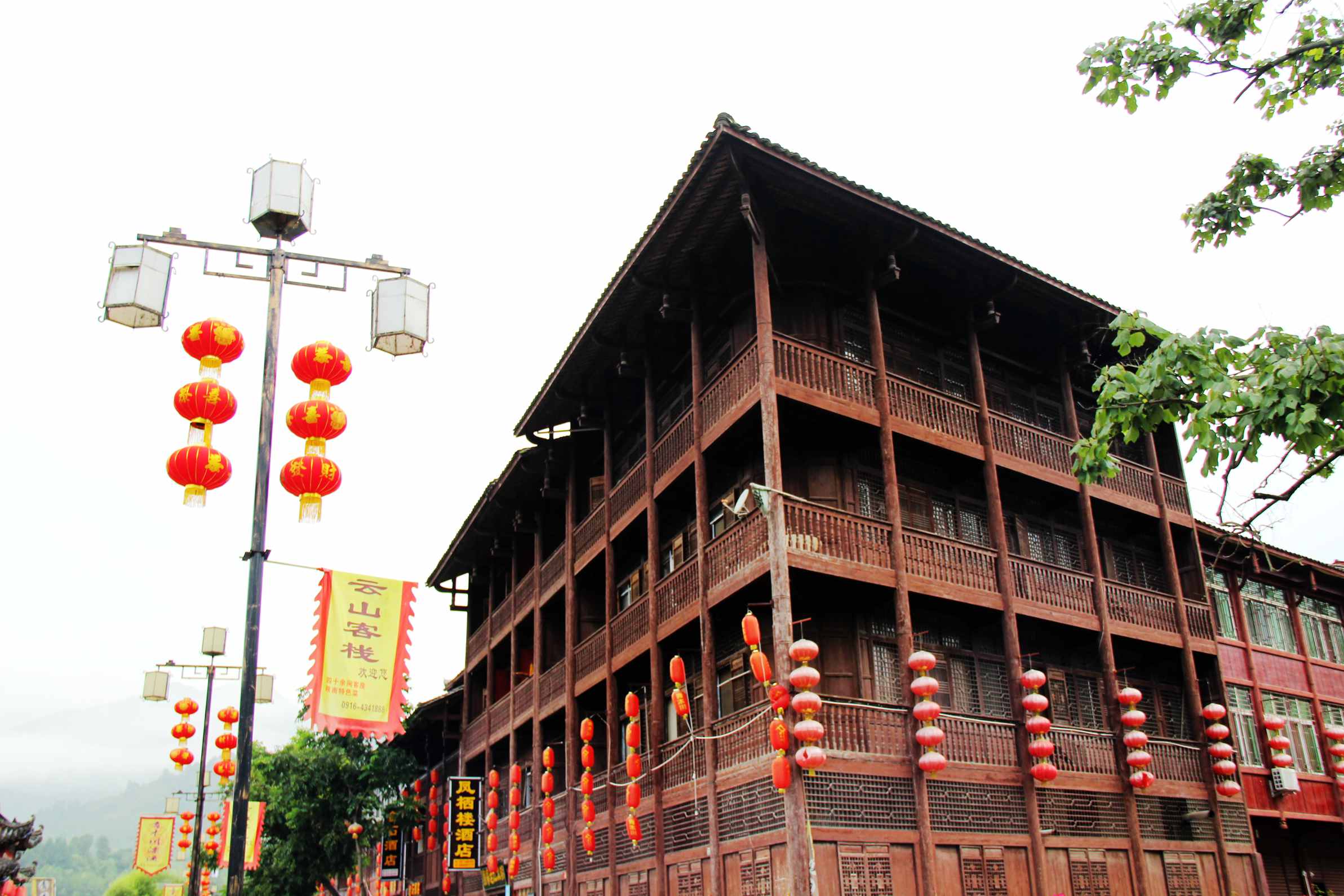 陇南行 541.jpg