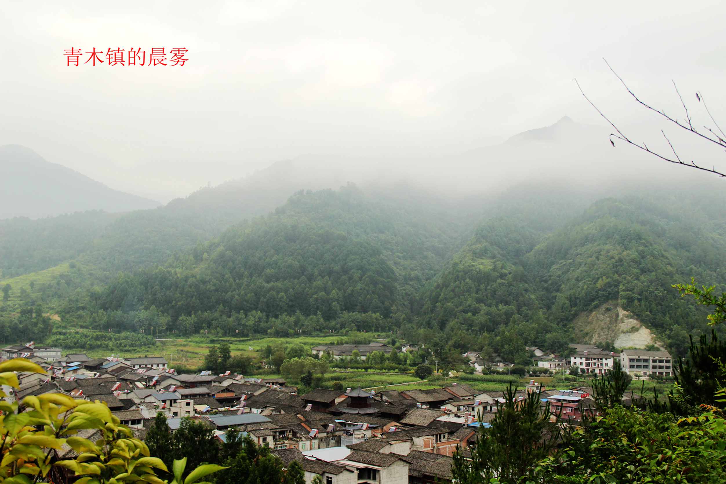 陇南行 552.jpg